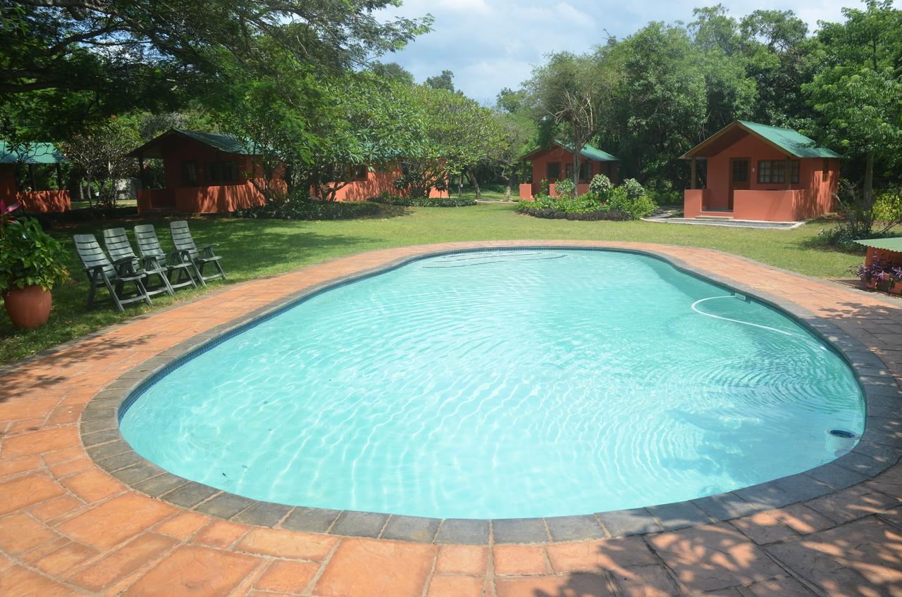 Bushbaby Lodge & Camping Hluhluwe Eksteriør billede