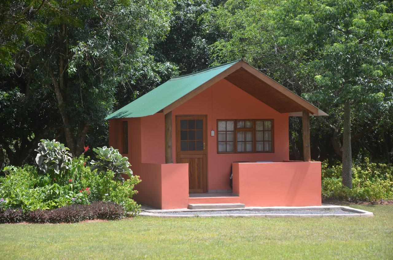 Bushbaby Lodge & Camping Hluhluwe Eksteriør billede