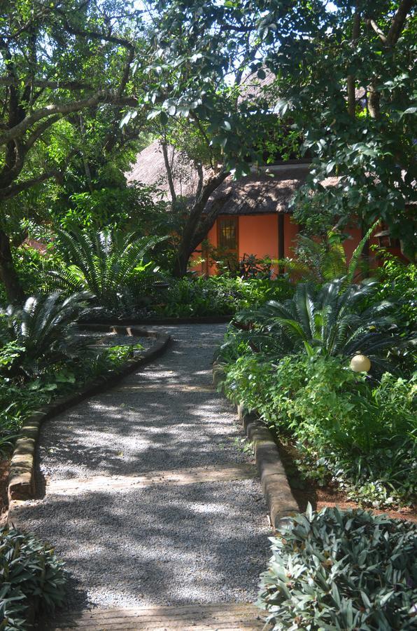 Bushbaby Lodge & Camping Hluhluwe Eksteriør billede