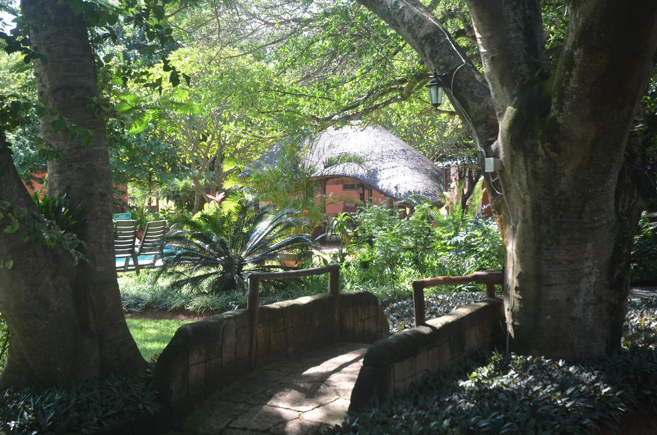 Bushbaby Lodge & Camping Hluhluwe Eksteriør billede