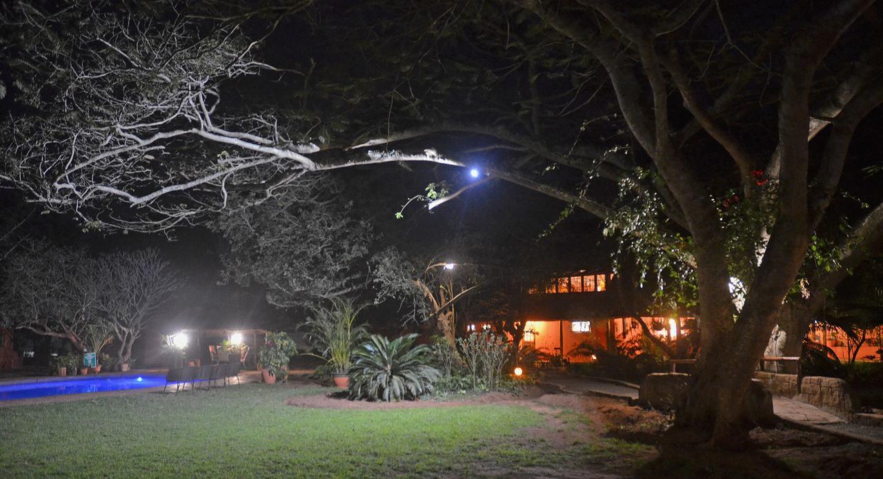 Bushbaby Lodge & Camping Hluhluwe Eksteriør billede
