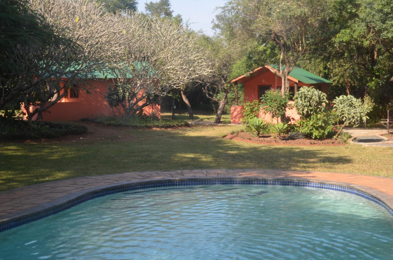 Bushbaby Lodge & Camping Hluhluwe Eksteriør billede